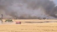 Harran'da yüzlerce dönümlük ekili buğday arazisi güpegündüz alev alev yandı!