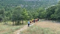 Hayvan otlatmak için dağa çıktı, izine ulaşılamadı!