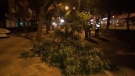 Kars'ta şiddetli sağanak ve fırtına hayatı felç etti!