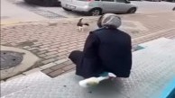 Kedinin yüzüne yağ çözücü sprey sıkan market çalışanı adli kontrol şartıyla serbest
