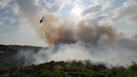 Manisa'da orman yangını çıktı! Havadan ve karadan müdahale ediliyor