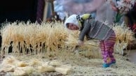 Mersin'de iğne oyası üç boyutlu figürlere dönüştü, arı ve kelebek yoğun ilgi görüyor