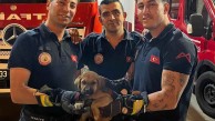 Minik dostumuz için seferberlik! Otomobilin motoruna sıkışan yavru köpeği itfaiye kurtardı!