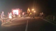 Otomobil yola çıkan mandalara çarptı: 1’i ağır 2 yaralı