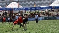Şahinbey Belediyesi 600 güreşçiyi ağırladı