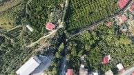 Samandağ Kuşalanı'nda kritik yola beton asfalt