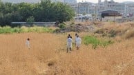 Şanlıurfa’da kötü kokuların ardından vahşet çıktı