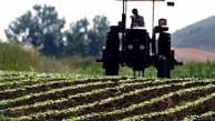 Şeker pancarında maliyeti düşürecek yerli formül