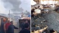 Silivri’de büyük ahır yangını: 24 büyükbaş, çok sayıda buzağı ve tavuk telef oldu