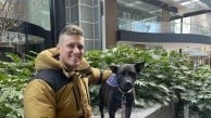 Yapay zeka destekli mRNA aşısı köpek Rosie'nin tümörünü yüzde 75 küçülttü