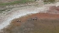Yozgat'ta yüzlerce angut kuşunun gölet üzerindeki toplu uçuşu dronla görüntülendi
