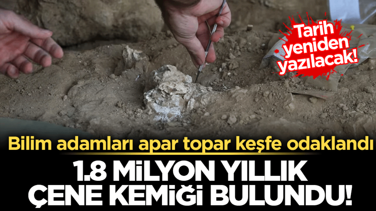 1.8 milyon yıllık çene kemiği bulundu! İnsanlık tarihine ışık tutacak keşif