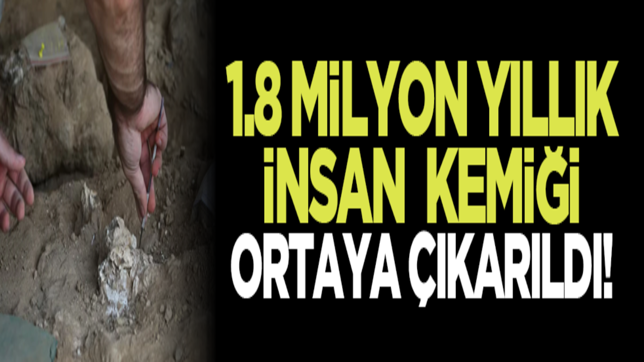 1.8 Milyon Yıllık İnsan Kemiği Ortaya Çıkarıldı!