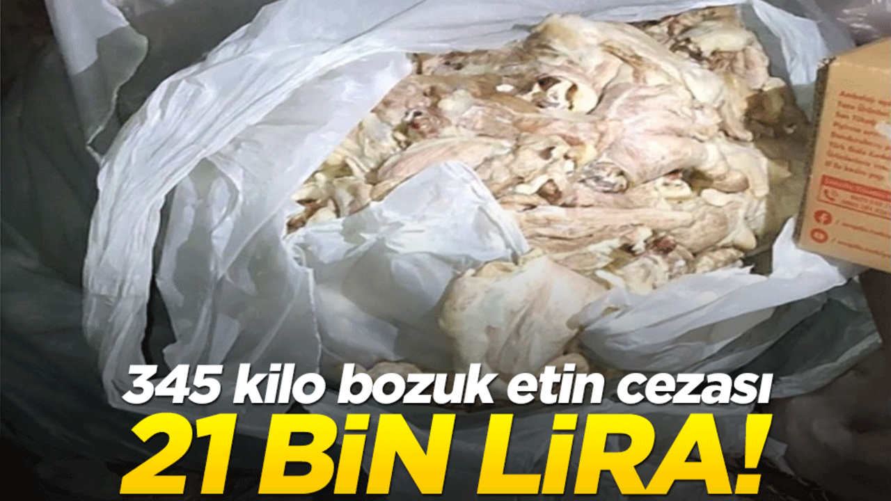 345 kilogram bozulmuş, kokuşmuş, küflenmiş etin cezası 21 bin lira