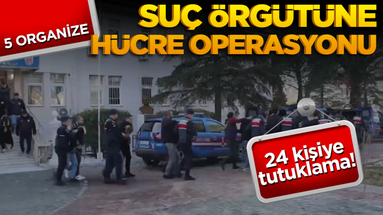 5 organize suç örgütüne hücre operasyonu: 24 kişi tutuklandı!