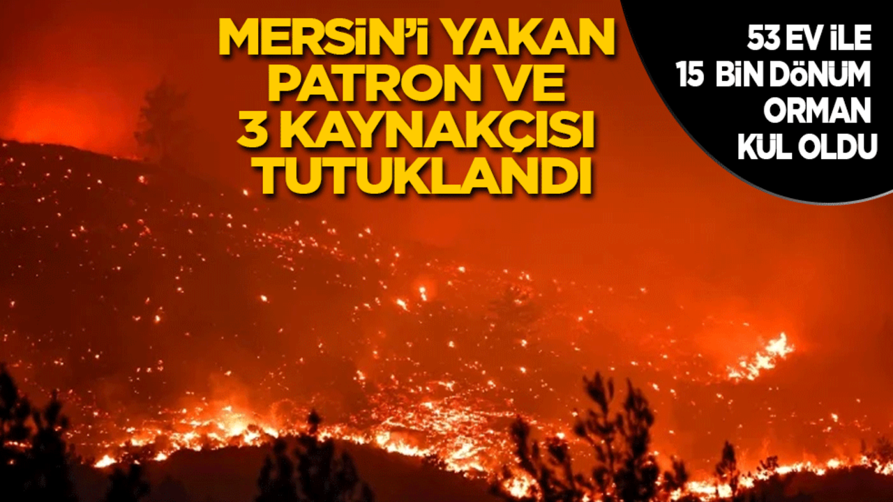 53 ev ve 15 bin dönüm orman kül olmuştu: Mersin’i yakan patron ve 3 kaynakçısı tutuklandı