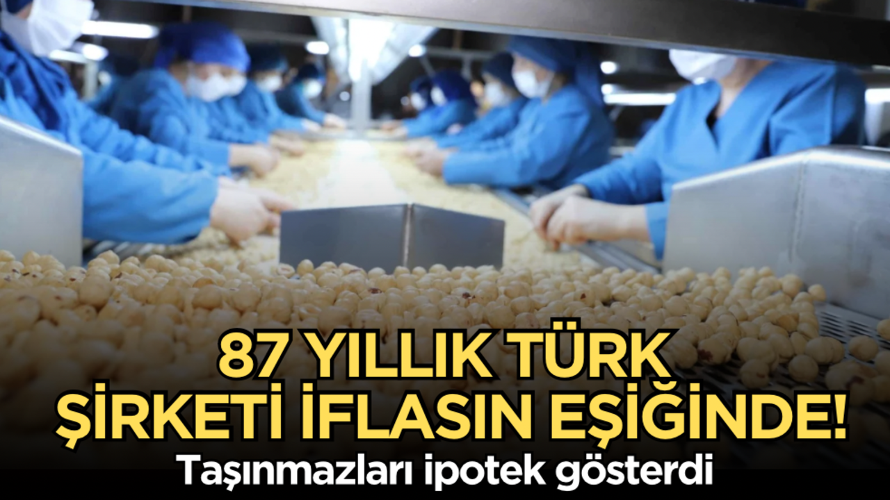 87 yıllık Türk şirketi iflasın eşiğinde! Taşınmazları ipotek gösterdi