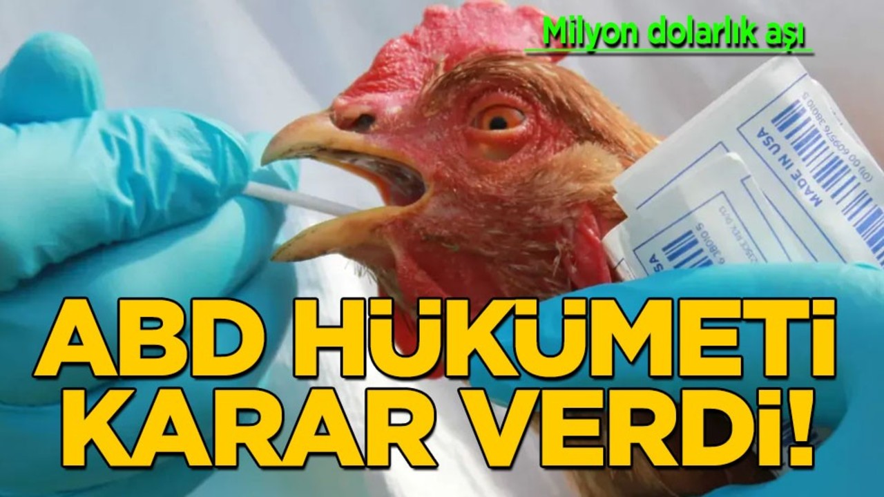 ABD, 72 milyon dolarlık aşı finansmanı: Sessiz sedasız çalışıldı, kuş gribi için proje hazırlandı!
