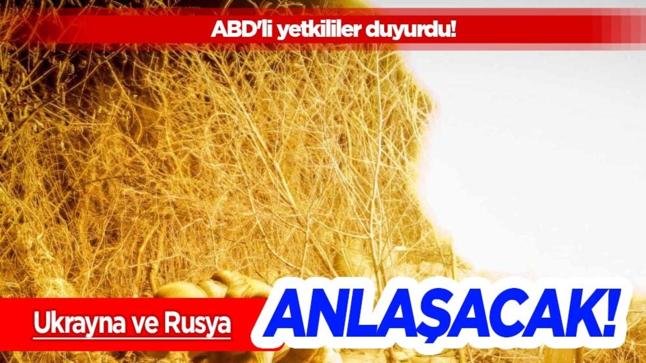 ABD'de bomba iddia: Ukrayna, yakında Rusya'yla anlaşacak! Yeniden ele alındı