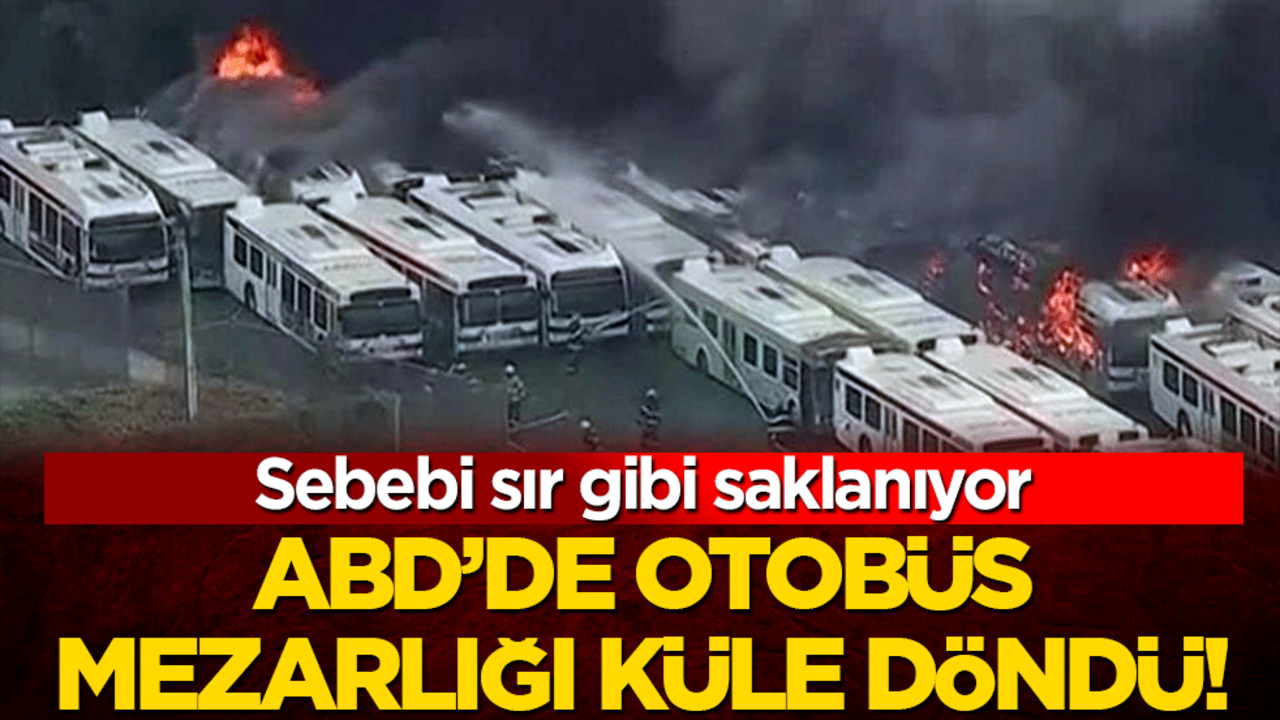 ABD’de otobüs mezarlığı küle döndü! Sebebi sır gibi saklanıyor