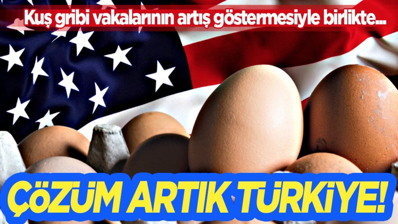 ABD'de yumurta krizine çözüm Türkiye: Son dönemde yeniden Türkiye'yi seçti! Duyurdular