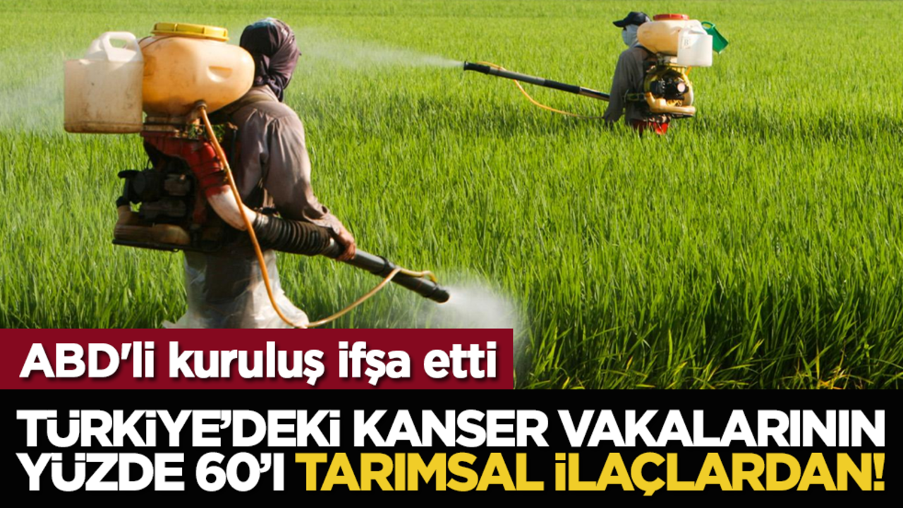 ABD'li kuruluş ifşa etti: Türkiye’deki kanser vakalarının yüzde 60’ı tarımsal ilaçlardan!