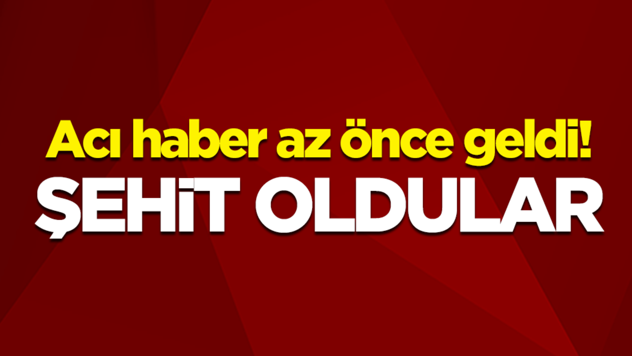 Acı haber az önce geldi! Şehit oldular