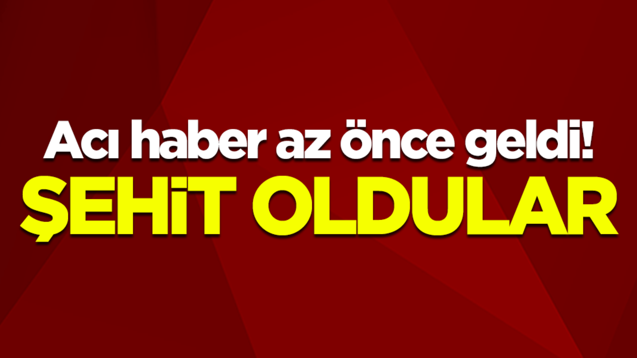 Acı haber az önce geldi! Şehit oldular