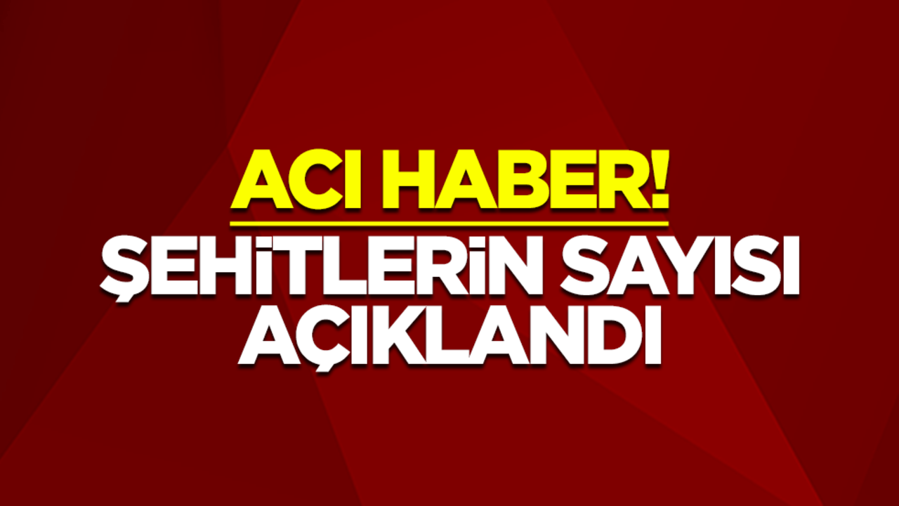 Acı haber! Şehitlerin sayısı açıklandı