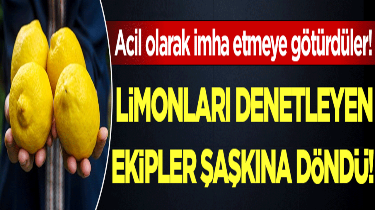 Acil olarak imha etmeye götürdüler: Limonları denetleyen ekipler şaşkına döndü!