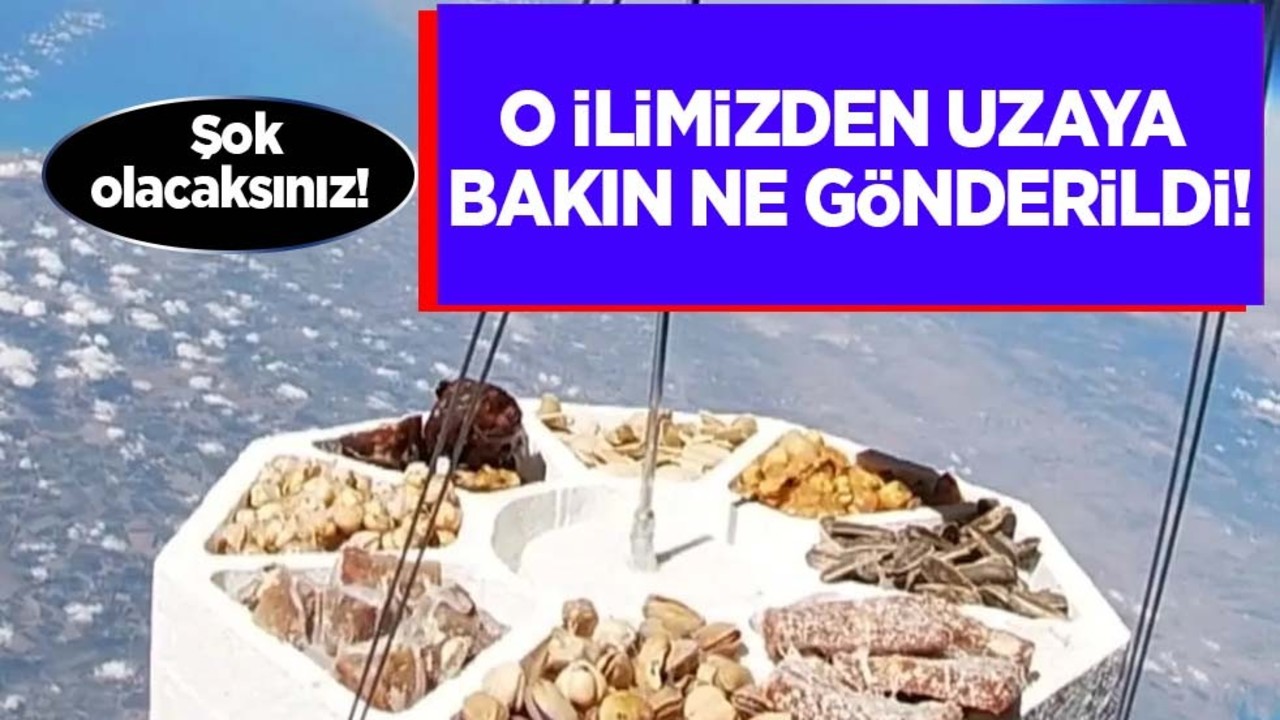 Adana'dan uzaya kuruyemiş gönderildi: Dünyadaki Türk beyin gücü! Bir ilke imza attık! Bulut'tan sürpriz açıklama