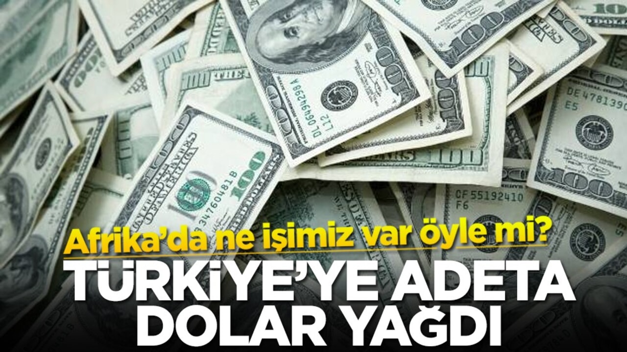 Afrika’da ne işimiz var öyle mi? Türkiye'ye adeta dolar yağdı