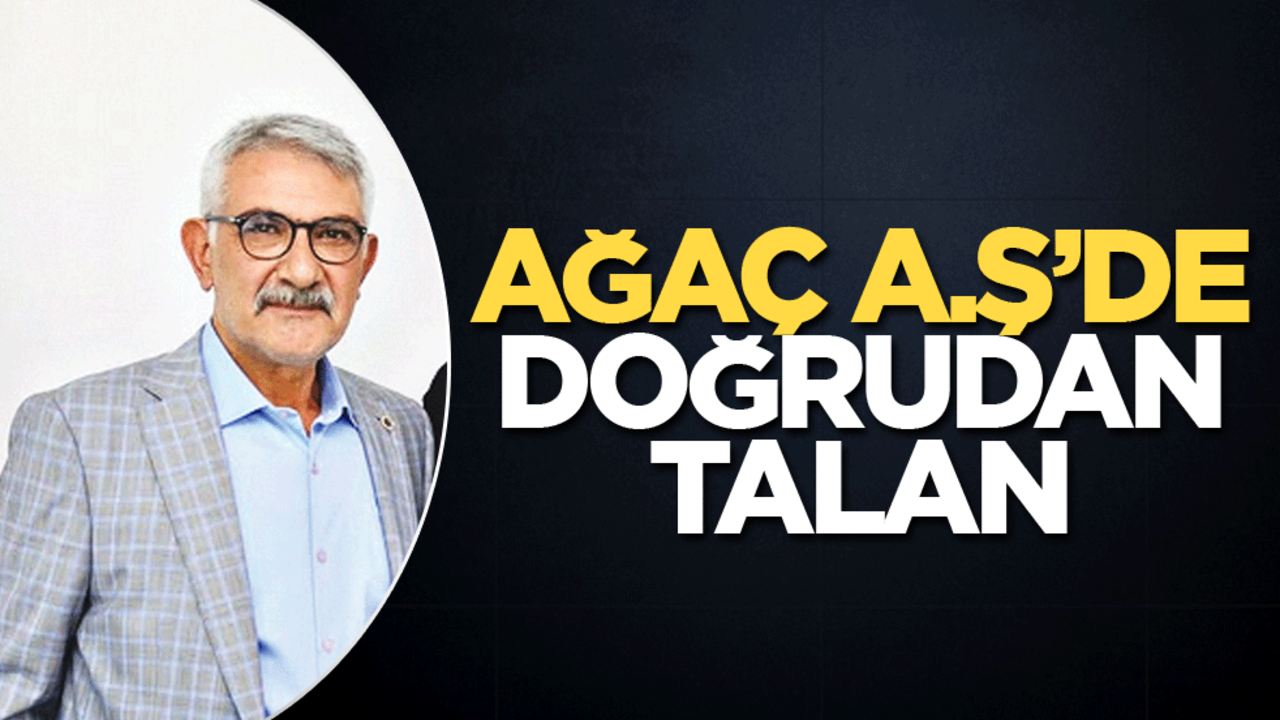Ağaç A.Ş’de doğrudan talan