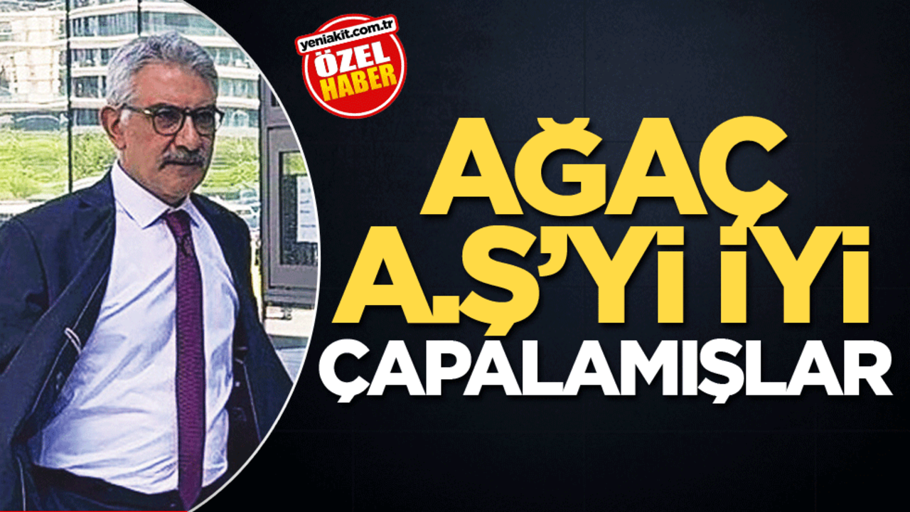 Ağaç A.Ş’yi çapalamışlar