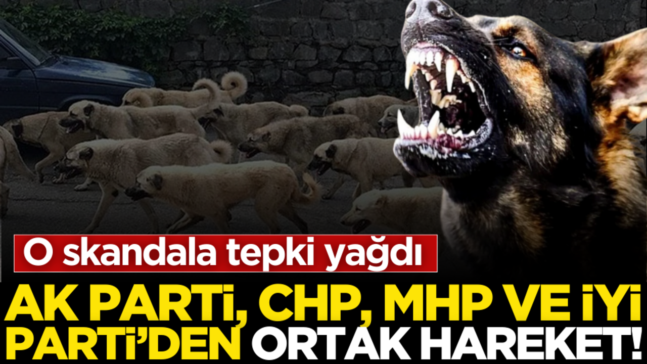AK Parti, CHP, MHP ve İYİ Parti’den ortak hareket! O skandala tepki yağdı