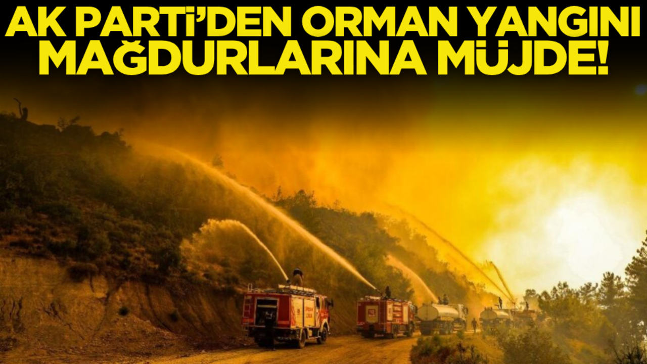 AK Parti’den orman yangını mağdurlarına müjde!