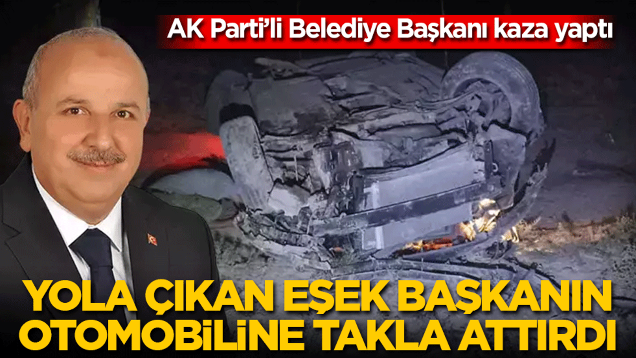 AK Parti’li Belediye Başkanı kaza yaptı: Yola eşek çıktı, başkanın otomobili takla attı