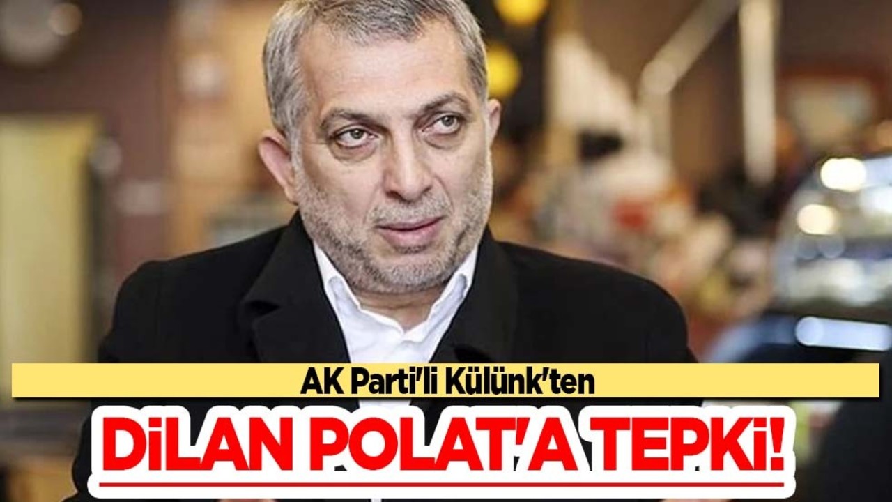 AK Partili isimden skandallarla ünlü Dilan Polat'a tepki: 'Devlete meydan okuyorlar'! Ülkemize kara leke bunlar