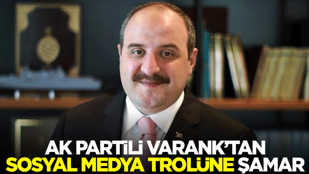 AK Partili Varank’tan sosyal medya trolüne şamar