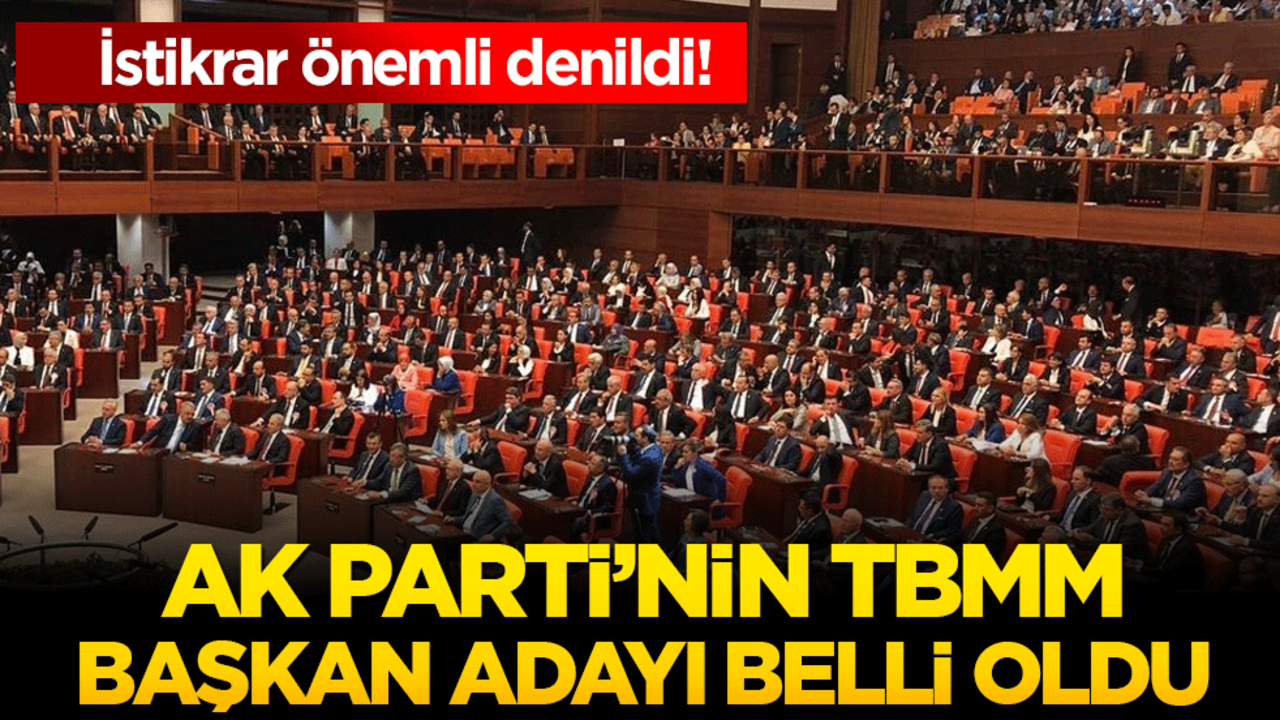 AK Parti'nin TBMM başkan adayı belli oldu