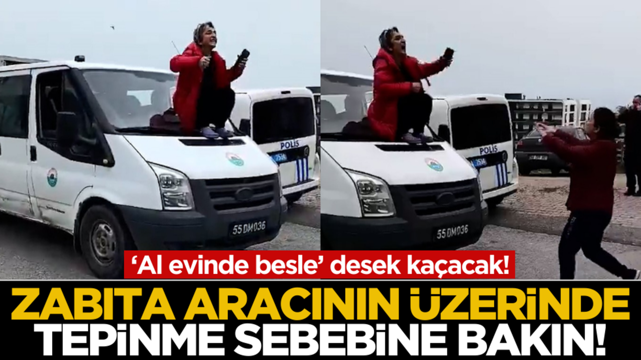 ‘Al evinde besle’ desek kaçacak! Zabıta aracının üzerinde tepinme sebebine bakın…