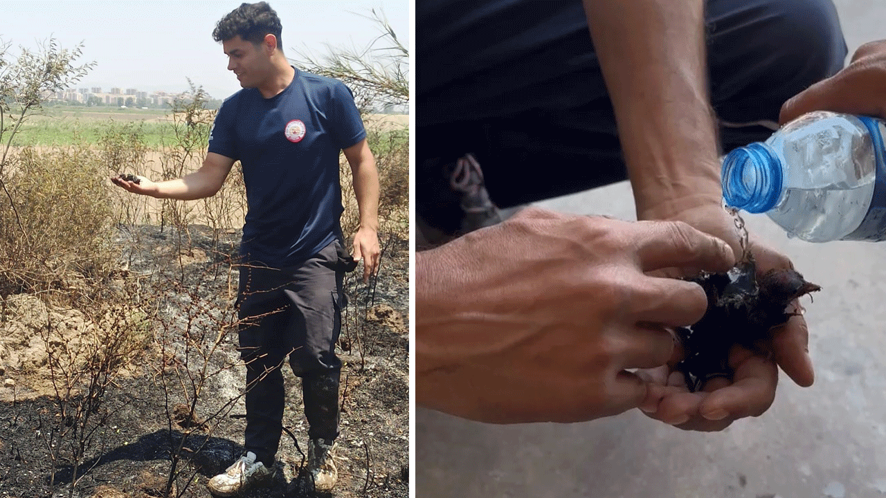 Alevlerin ortasında kalan yavru serçeye, itfaiyeden can suyu