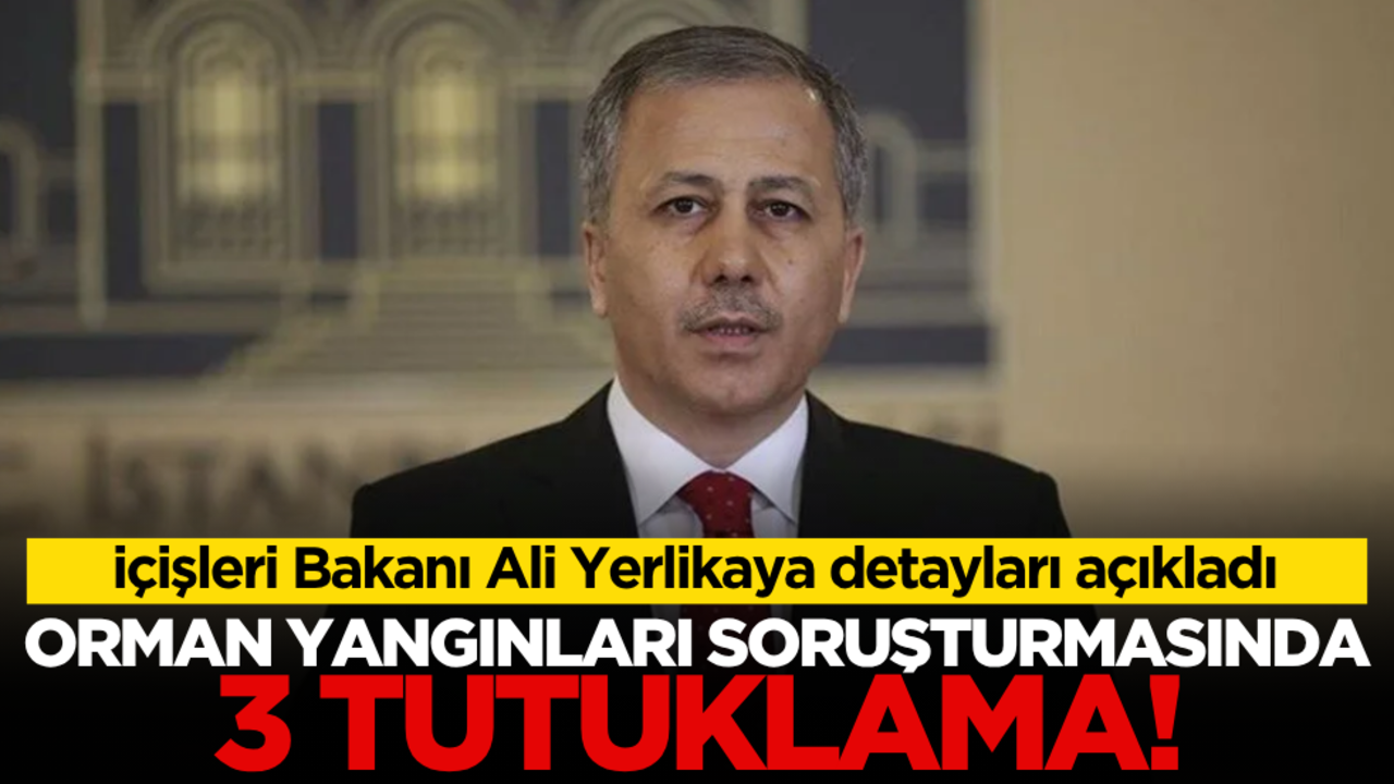 Ali Yerlikaya duyurdu! Orman yangınları soruşturmasında 3 tutuklama