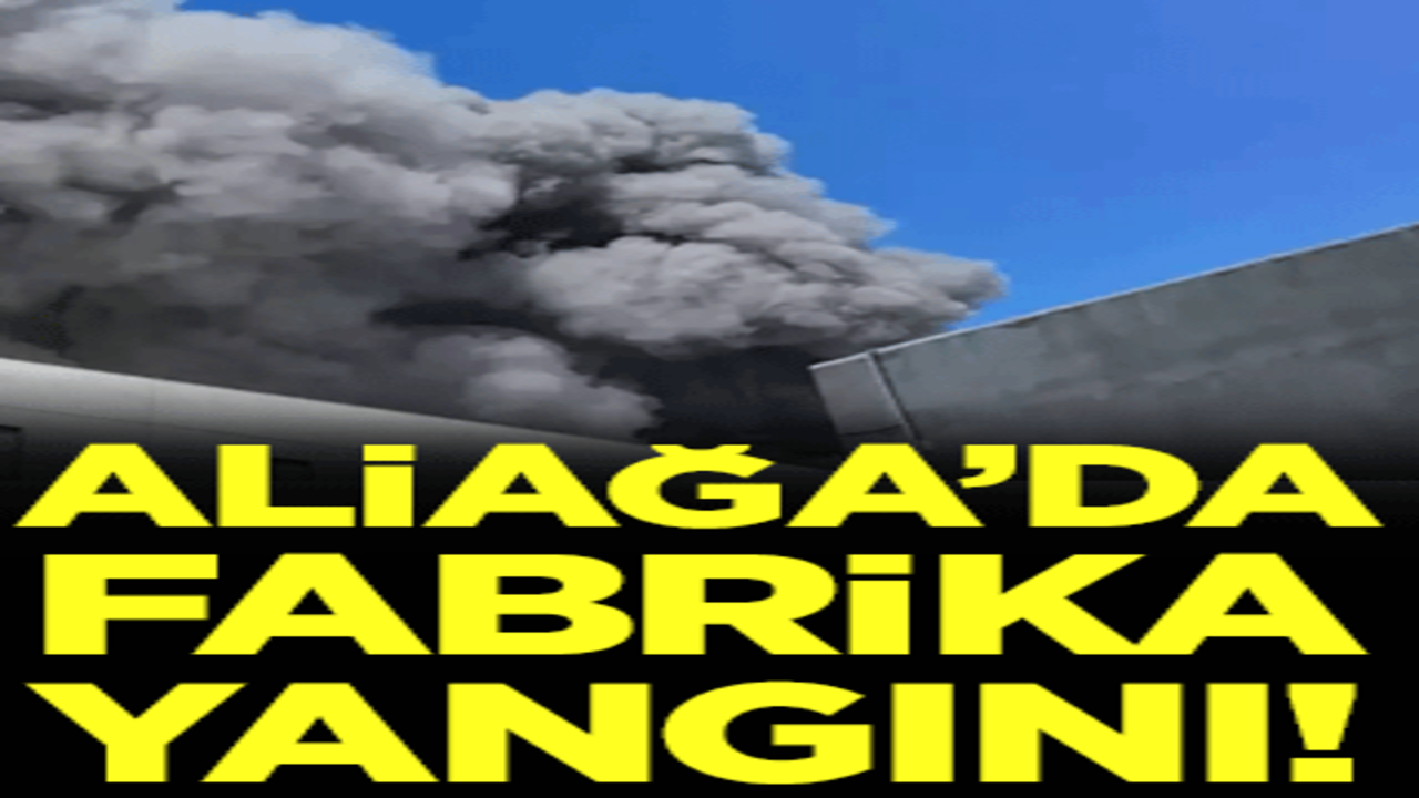 Aliağa'da kimya fabrikasında yangın!