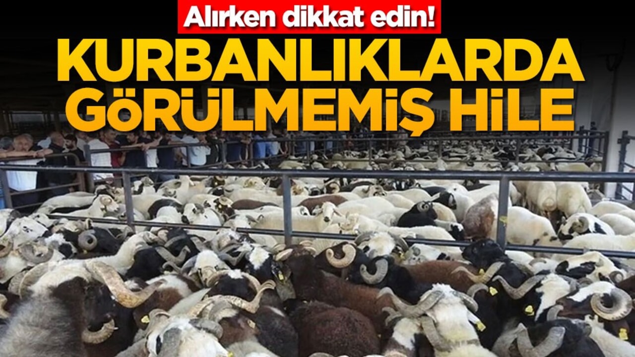 Alırken dikkat edin! Kurbanlıklarda görülmemiş hile