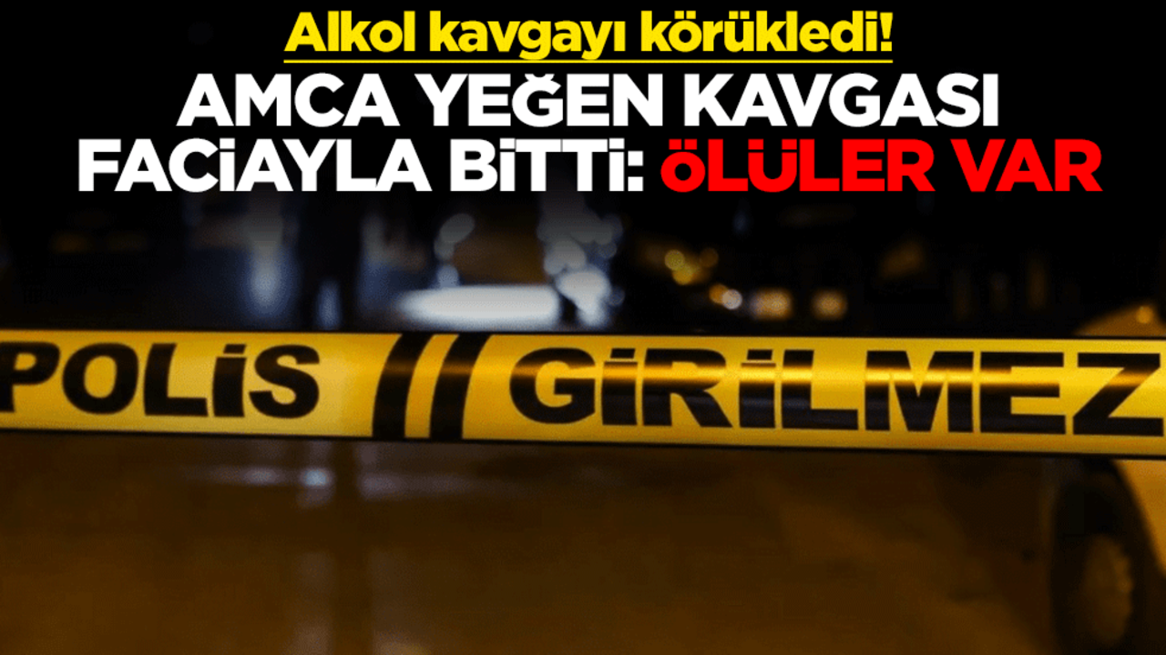 Alkol kavgayı körükledi! Amca yeğen kavgası faciayla bitti: Ölüler var