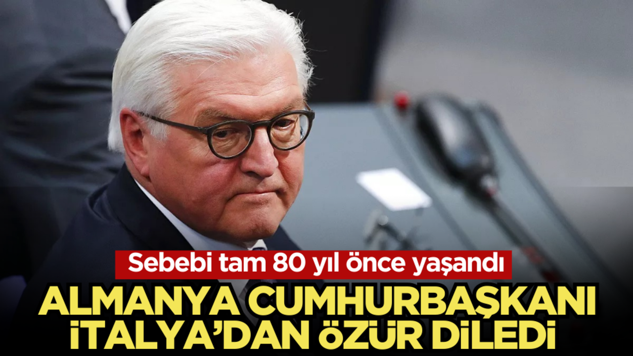 Almanya Cumhurbaşkanı "Utanç hissediyorum" diyerek özür diledi!