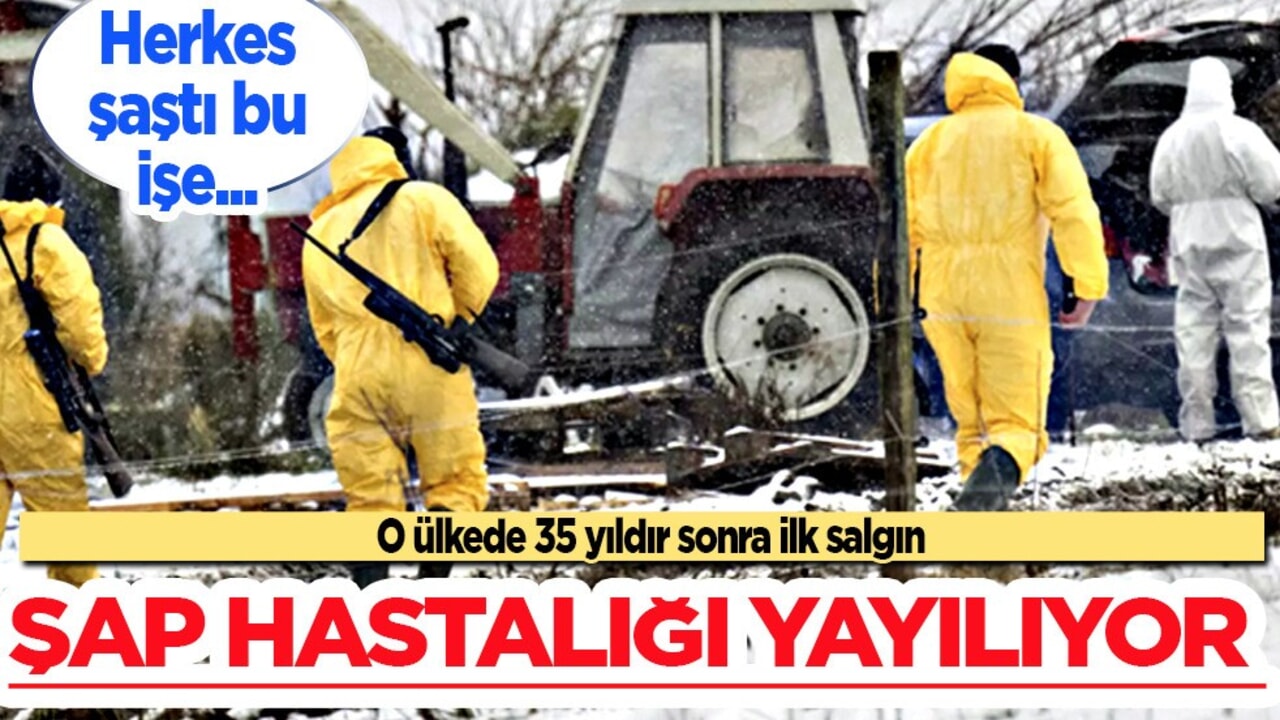 Almanya'da 35 yı sonra ilk salgın: Canlı kümes hayvanı taşınmasına yasak! Yasaklanıyor