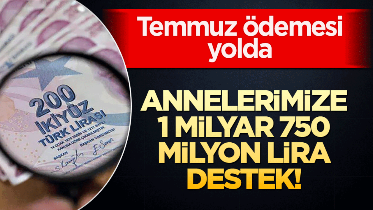 Annelerimize 1 milyar 750 milyon lira destek! Temmuz ödemesi yolda
