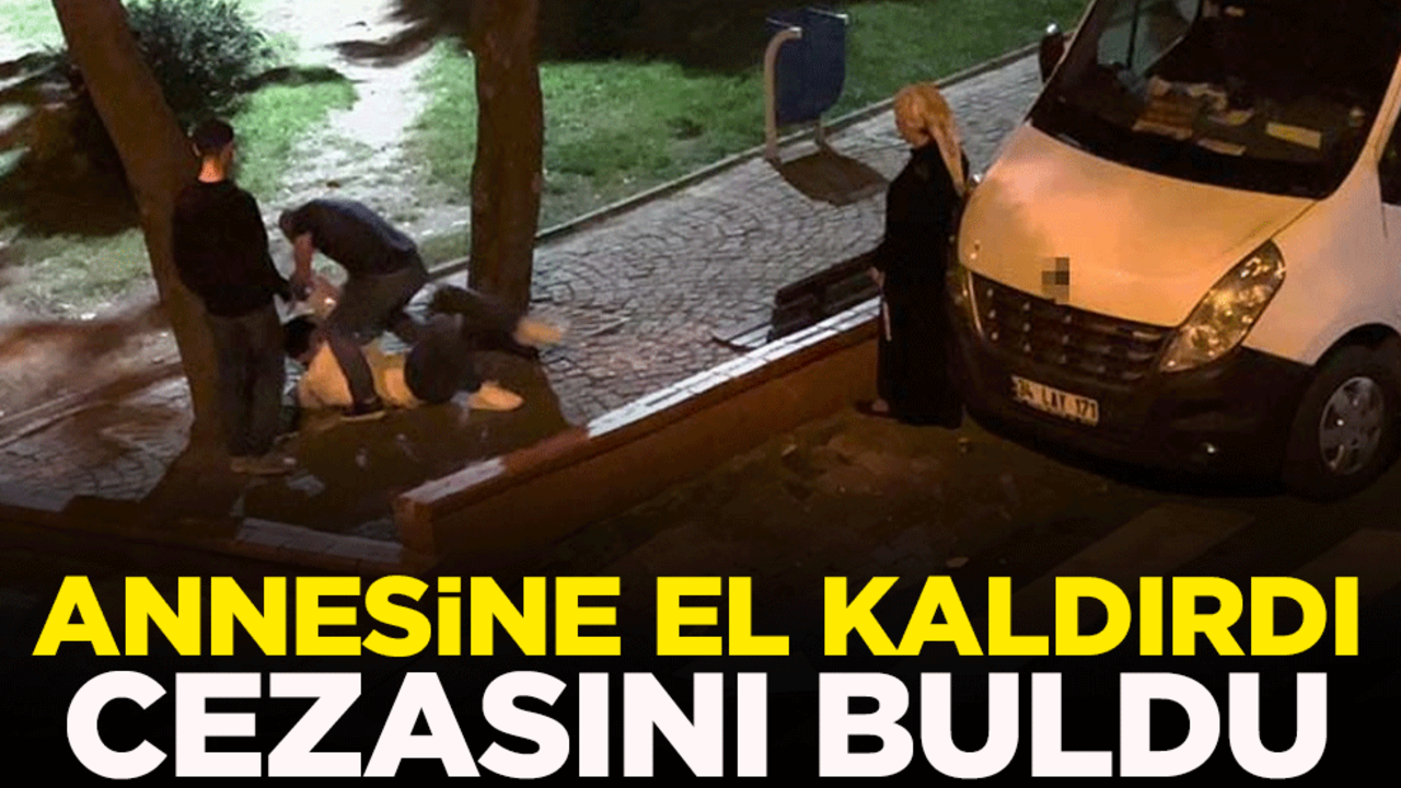 Annesine el kaldırdı cezasını çok geçmeden buldu